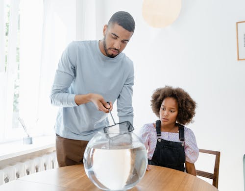 Inspirerende tips voor schitterend aquariumdesign en de kunst van aquascaping