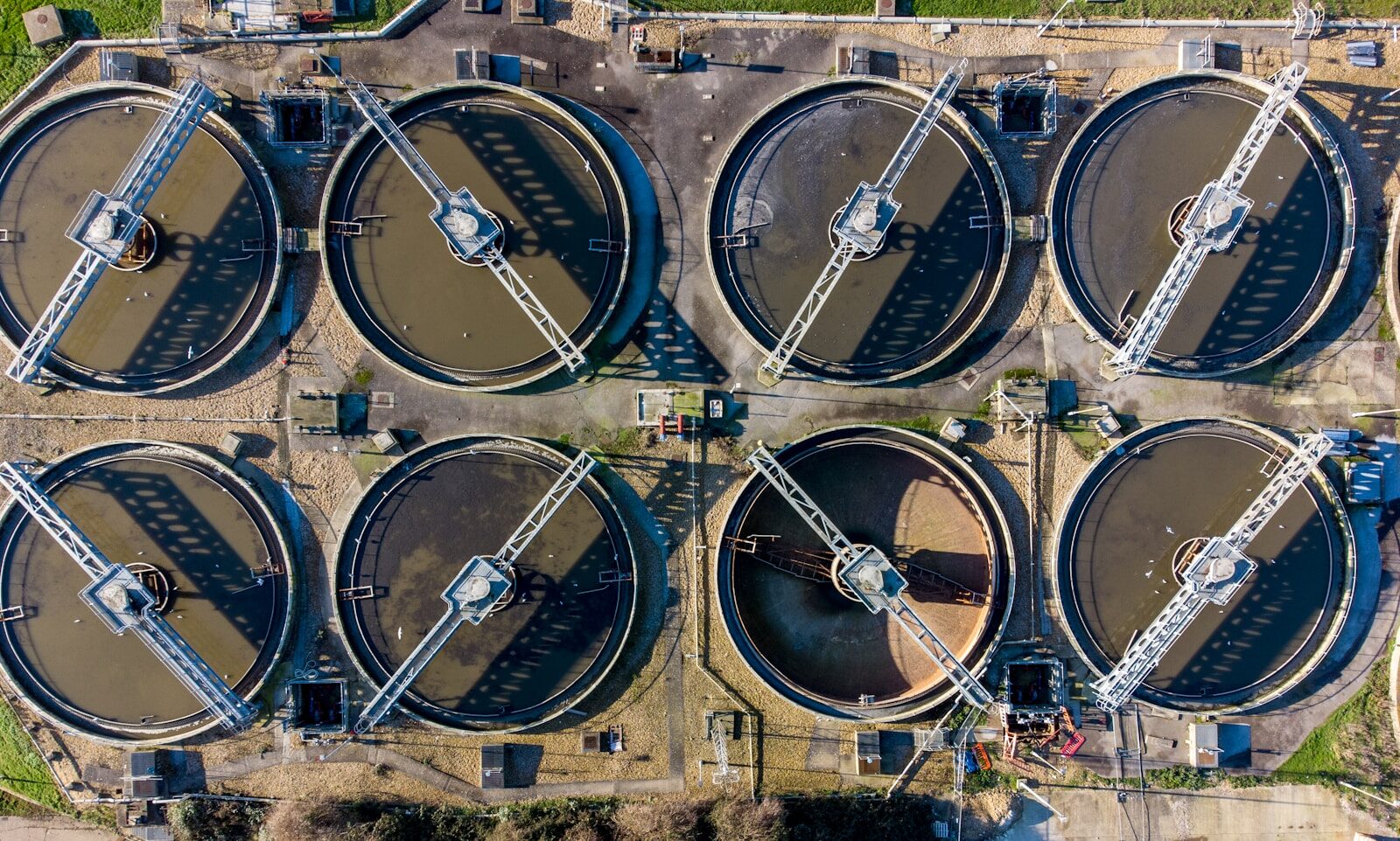 Innovatie in de groene sector